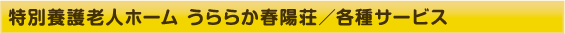 特別養護老人ホーム うららか春陽荘／各種サービス